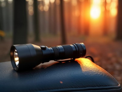 Тактичний ліхтар Olight vs Fenix: порівняння популярних серій