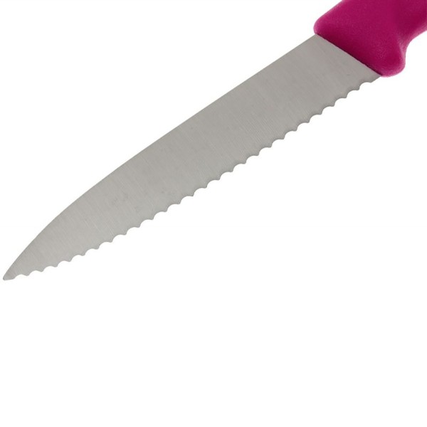 Кухонный нож Victorinox SwissClassic Paring 6.7636.L115, серрейтор, 8 см, розовый