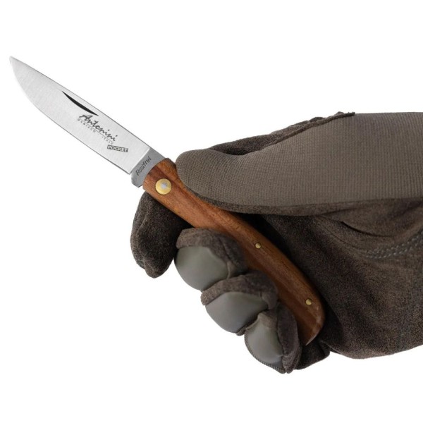 Нож Antonini Pocket Maniaghese cm.16 420 stainless steel brown