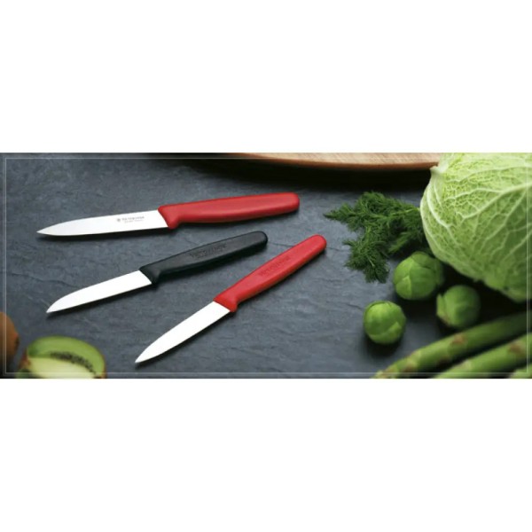 Нож для чистки овощей Victorinox Standart, 8 см, красный 5.0601