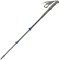 Палки трекинговые Pinguin Carbon FL Foam 2021 Carbon/Blue