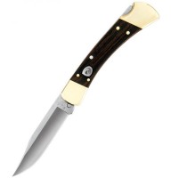 Buck Folding Hunter Auto 110BRSA