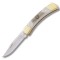 Buck Folding Hunter Elk Handle 110EKSBCLE