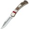 Buck Folding Hunter WBC Grizzly Bear, 110EKSLE4B