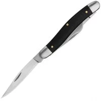 Kershaw Brandywine
